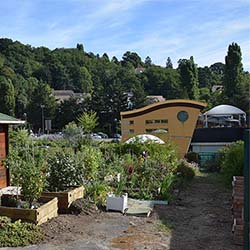Jardin partagé du Guichet